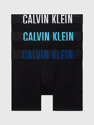 BOXER BRIEF 3PK Pánské boxerky
