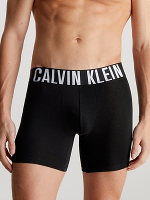 BOXER BRIEF 3PK Pánské boxerky