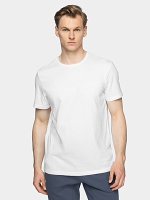 HOL21-TSM600 WHITE Pánské tričko
