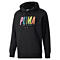SWxP Graphic Hoodie TR